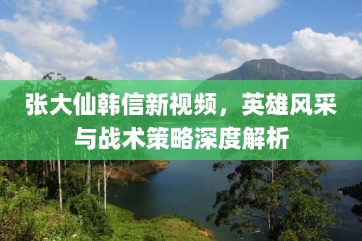 张大仙韩信新视频，英雄风采与战术策略深度解析