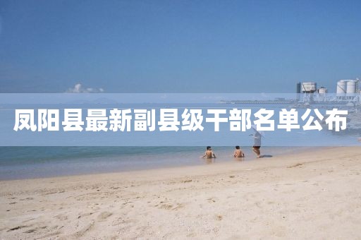 凤阳县最新副县级干部名单公布