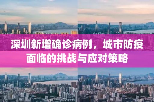 深圳新增确诊病例，城市防疫面临的挑战与应对策略