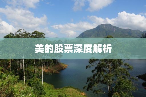 美的股票深度解析