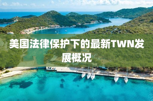 美国法律保护下的最新TWN发展概况