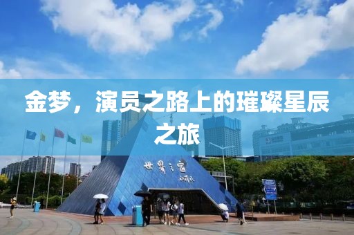 金梦，演员之路上的璀璨星辰之旅