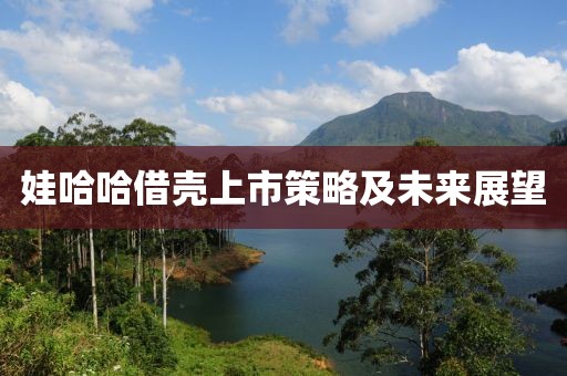 娃哈哈借壳上市策略及未来展望