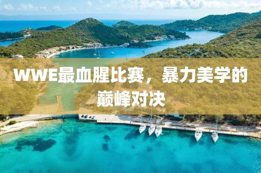 WWE最血腥比赛，暴力美学的巅峰对决