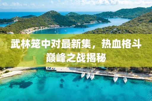 武林笼中对最新集，热血格斗巅峰之战揭秘