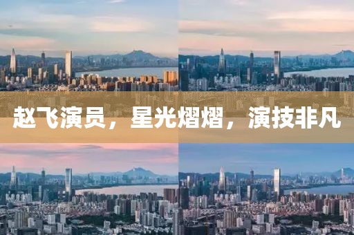 赵飞演员，星光熠熠，演技非凡