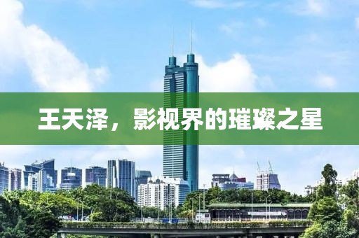 王天泽，影视界的璀璨之星