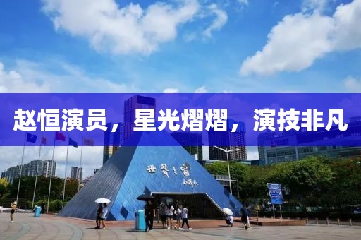 赵恒演员，星光熠熠，演技非凡