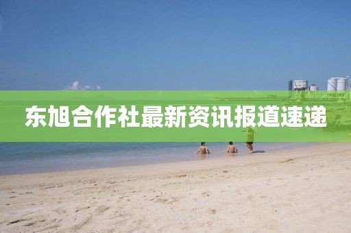 东旭合作社最新资讯报道速递