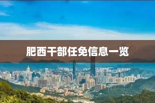 肥西干部任免信息一览