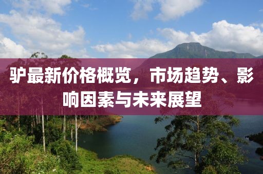 驴最新价格概览，市场趋势、影响因素与未来展望