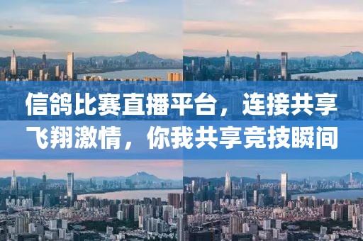 信鸽比赛直播平台，连接共享飞翔激情，你我共享竞技瞬间