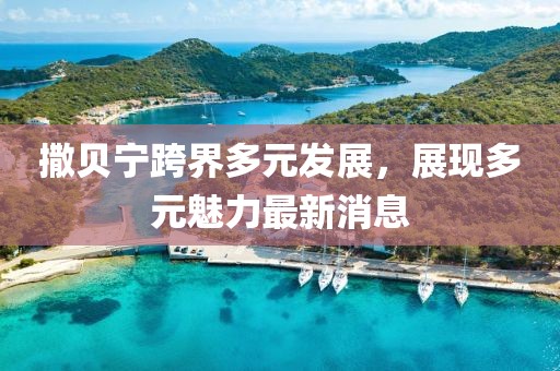 撒贝宁跨界多元发展，展现多元魅力最新消息