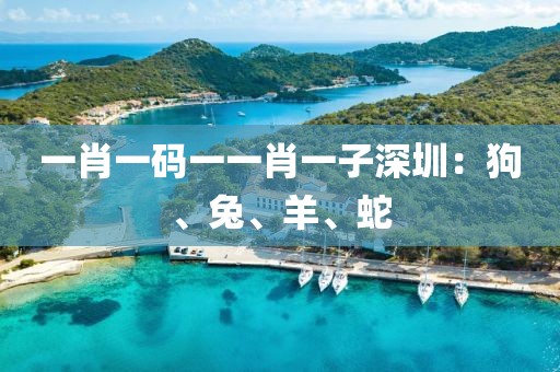 一肖一码一一肖一子深圳：狗、兔、羊、蛇