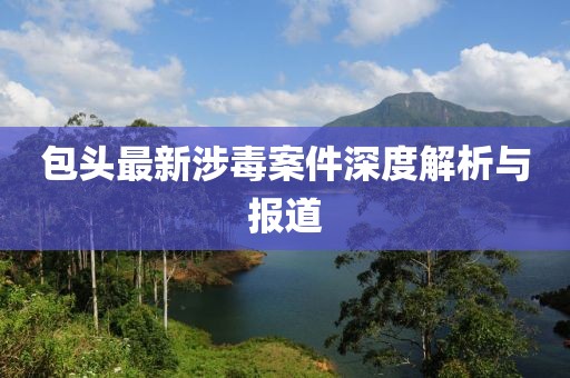 包头最新涉毒案件深度解析与报道