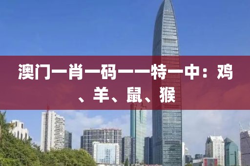 社会硬茬子 第18页