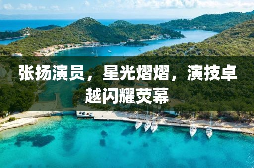 张扬演员，星光熠熠，演技卓越闪耀荧幕
