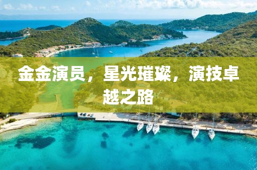 金金演员，星光璀璨，演技卓越之路
