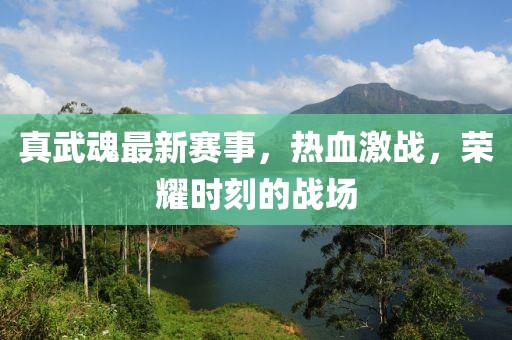 真武魂最新赛事，热血激战，荣耀时刻的战场