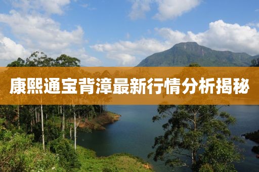 康熙通宝背漳最新行情分析揭秘