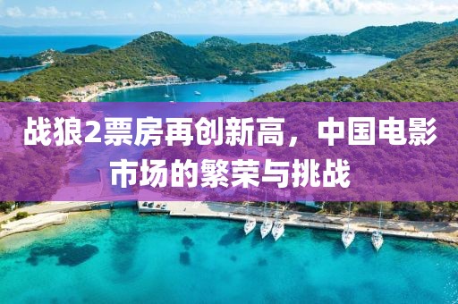 战狼2票房再创新高，中国电影市场的繁荣与挑战