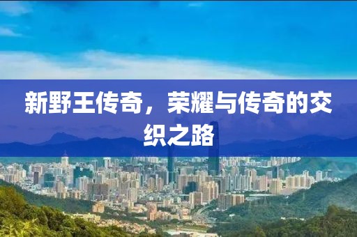 新野王传奇，荣耀与传奇的交织之路