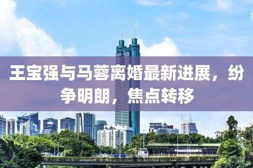王宝强与马蓉离婚最新进展，纷争明朗，焦点转移