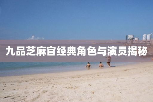 九品芝麻官经典角色与演员揭秘