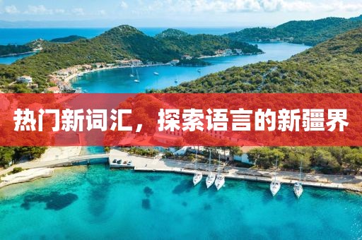 热门新词汇，探索语言的新疆界