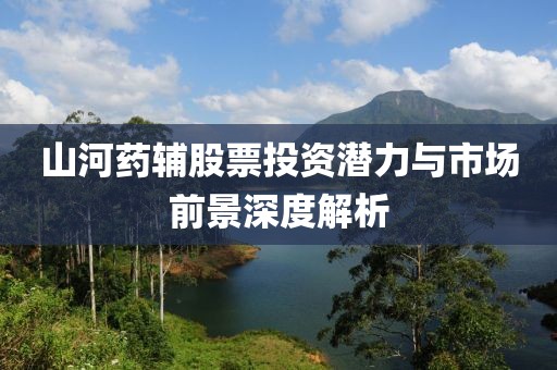 山河药辅股票投资潜力与市场前景深度解析