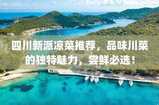四川新派凉菜推荐，品味川菜的独特魅力，尝鲜必选！