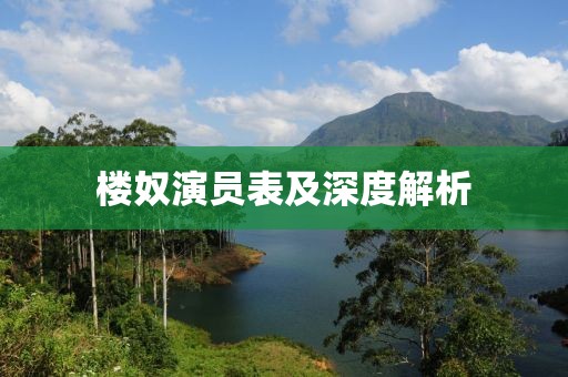 楼奴演员表及深度解析