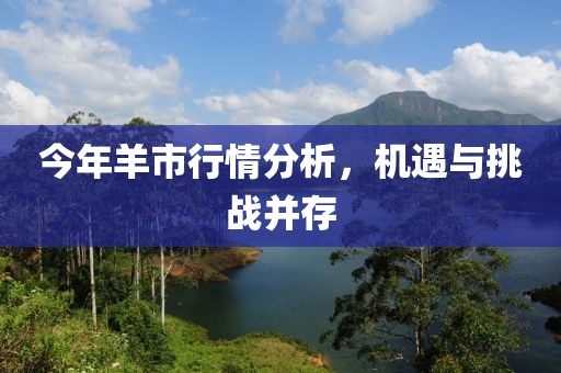 今年羊市行情分析，机遇与挑战并存