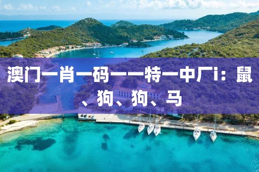 澳门一肖一码一一特一中厂i：鼠、狗、狗、马