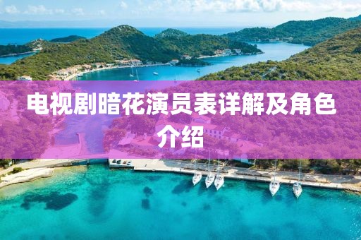 电视剧暗花演员表详解及角色介绍