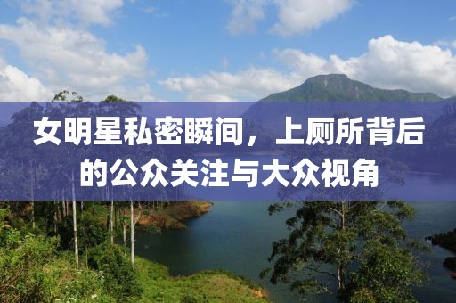 女明星私密瞬间，上厕所背后的公众关注与大众视角