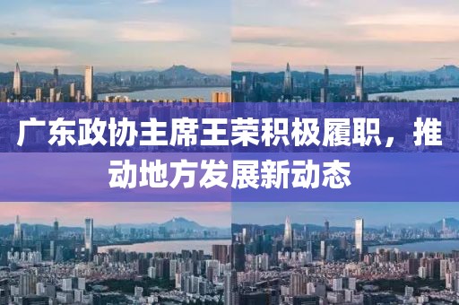 广东政协主席王荣积极履职，推动地方发展新动态