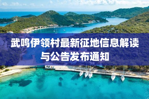 武鸣伊领村最新征地信息解读与公告发布通知