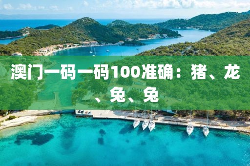 澳门一码一码100准确：猪、龙、兔、兔