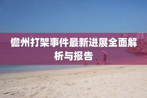 儋州打架事件最新进展全面解析与报告