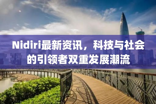 Nidiri最新资讯，科技与社会的引领者双重发展潮流