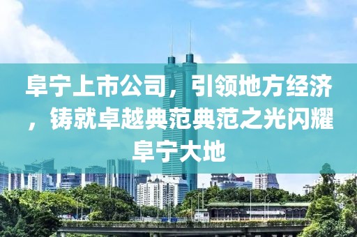 阜宁上市公司，引领地方经济，铸就卓越典范典范之光闪耀阜宁大地