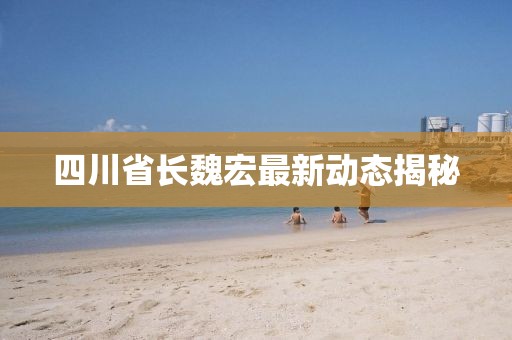 四川省长魏宏最新动态揭秘