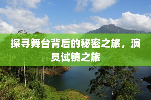 探寻舞台背后的秘密之旅，演员试镜之旅