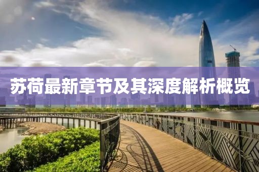 苏荷最新章节及其深度解析概览