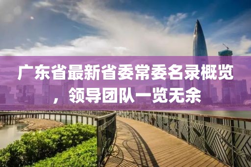 广东省最新省委常委名录概览，领导团队一览无余