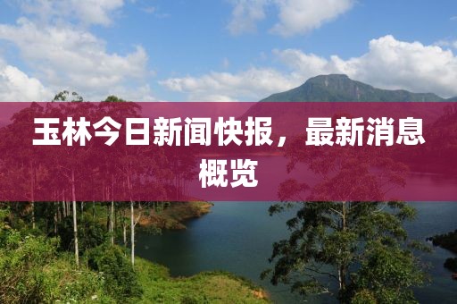玉林今日新闻快报，最新消息概览
