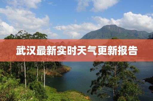 武汉最新实时天气更新报告