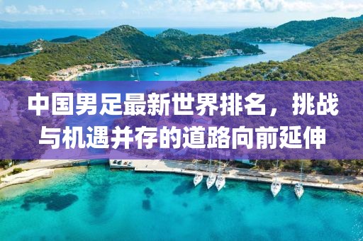 中国男足最新世界排名，挑战与机遇并存的道路向前延伸