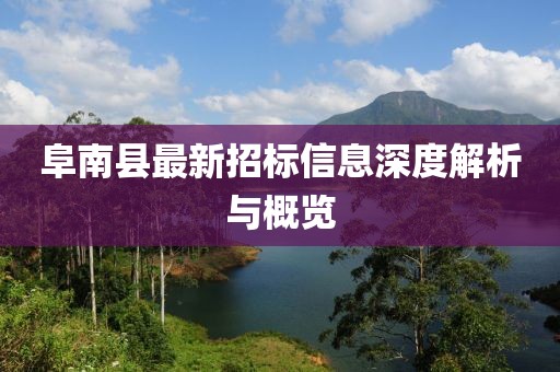 阜南县最新招标信息深度解析与概览